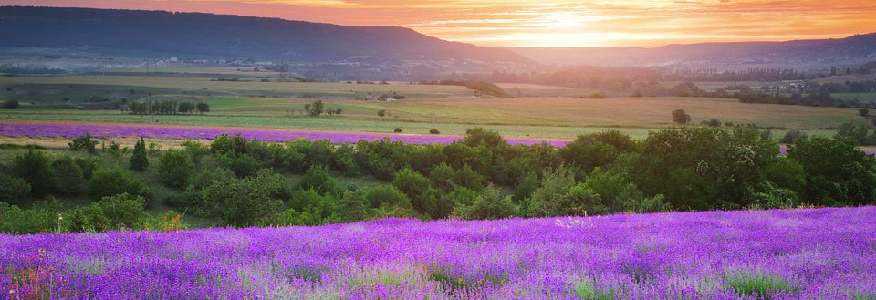 Feriebolig Provence