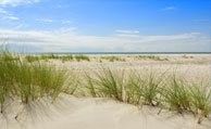 Storbyferie i Danmark