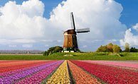Storbyferie i Holland